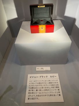 特別展「宝石　地球がうみだすキセキ」（名古屋市科学館　理工館地下２階イベントホール）に投稿された画像（2022/7/16）