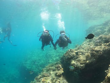 沖縄マリンサービス碧に投稿された画像（2022/7/16）