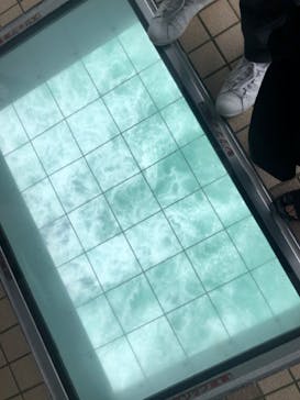 徳島県立 渦の道に投稿された画像（2022/7/16）