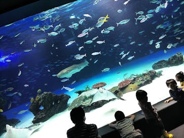 サンシャイン水族館に投稿された画像（2022/7/16）