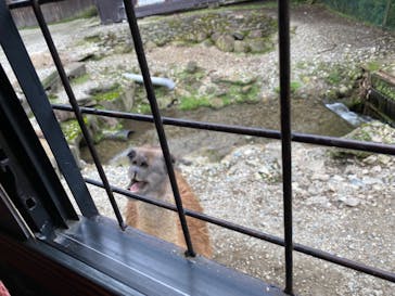 那須サファリパークに投稿された画像（2022/7/16）