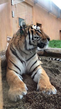 那須どうぶつ王国に投稿された画像（2022/7/16）