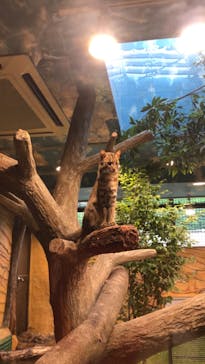 那須どうぶつ王国に投稿された画像（2022/7/16）