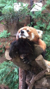 那須どうぶつ王国に投稿された画像（2022/7/16）