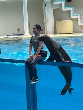 伊豆・三津シーパラダイスに投稿された画像（2022/7/16）