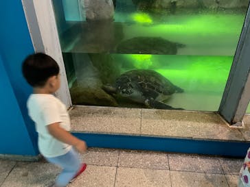 伊豆・三津シーパラダイスに投稿された画像（2022/7/16）