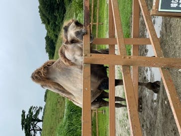 那須どうぶつ王国に投稿された画像（2022/7/16）