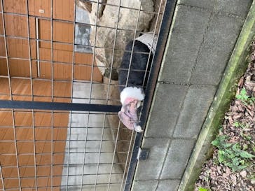 那須どうぶつ王国に投稿された画像（2022/7/16）