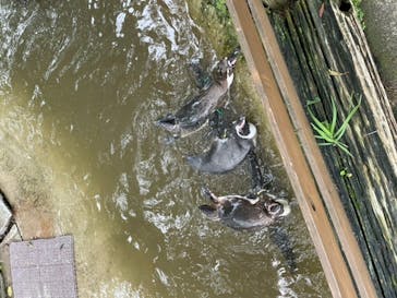 那須どうぶつ王国に投稿された画像（2022/7/16）