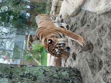 那須どうぶつ王国に投稿された画像（2022/7/16）