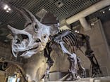 国立科学博物館に投稿された画像（2022/7/16）