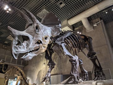 国立科学博物館に投稿された画像（2022/7/16）