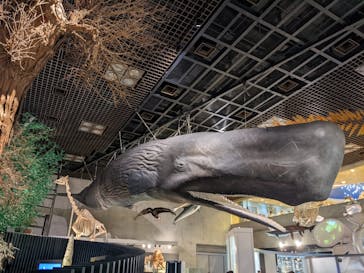 国立科学博物館に投稿された画像（2022/7/16）