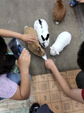 東京あそびマーレに投稿された画像（2022/7/16）