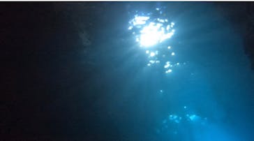 武藤潜水に投稿された画像（2022/7/16）