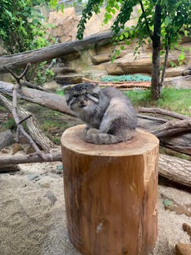 那須どうぶつ王国に投稿された画像（2022/7/16）