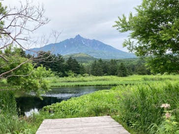 利尻はなガイドクラブに投稿された画像（2022/7/16）