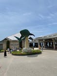 沖縄美ら海水族館に投稿された画像（2022/7/16）