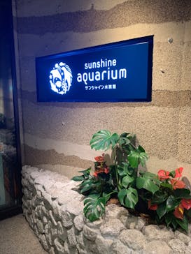 サンシャイン水族館に投稿された画像（2022/7/16）