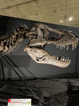 ひらかたパークに投稿された画像（2022/7/16）