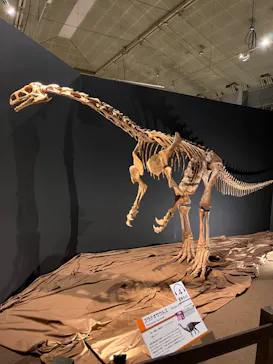 ひらかたパークに投稿された画像（2022/7/16）