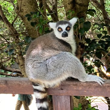 長崎バイオパークに投稿された画像（2022/7/16）