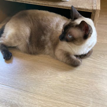 長崎バイオパークに投稿された画像（2022/7/16）