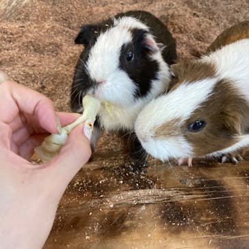 長崎バイオパークに投稿された画像（2022/7/16）