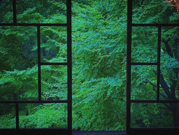 江戸東京たてもの園に投稿された画像（2022/7/16）