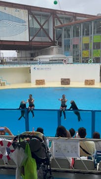 伊豆・三津シーパラダイスに投稿された画像（2022/7/16）