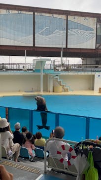 伊豆・三津シーパラダイスに投稿された画像（2022/7/16）