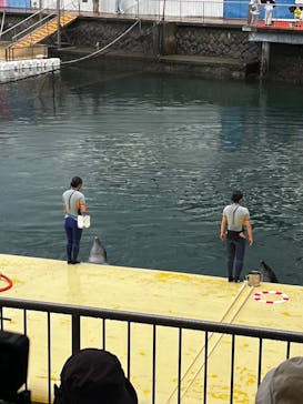 伊豆・三津シーパラダイスに投稿された画像（2022/7/16）
