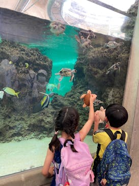 鴨川シーワールドに投稿された画像（2022/7/17）