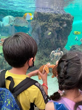 鴨川シーワールドに投稿された画像（2022/7/17）