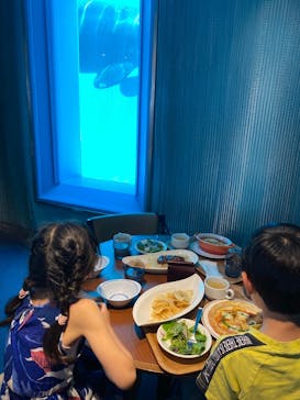 鴨川シーワールドに投稿された画像（2022/7/17）