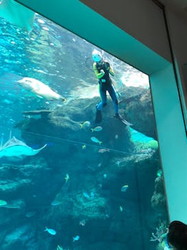 名古屋港水族館に投稿された画像（2022/7/17）