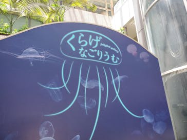 名古屋港水族館に投稿された画像（2022/7/17）