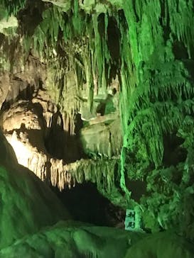 あぶくま洞に投稿された画像（2022/7/17）