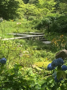 六甲高山植物園に投稿された画像（2022/7/17）