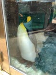 下田海中水族館に投稿された画像（2022/7/17）