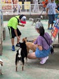 IPCわんわん動物園に投稿された画像（2022/7/17）