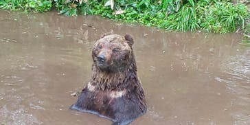 サホロリゾート　ベア･マウンテンに投稿された画像（2022/7/17）