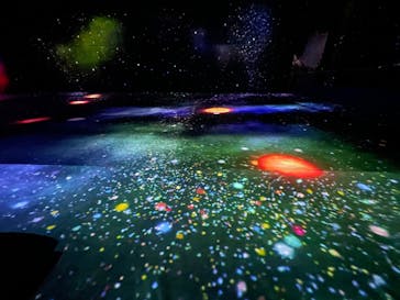 森ビル デジタルアート ミュージアム：エプソン チームラボボーダレスに投稿された画像（2022/7/17）