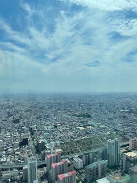 ハルカス300(展望台)に投稿された画像（2022/7/17）