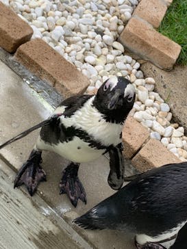 マリンワールド海の中道に投稿された画像（2022/7/17）
