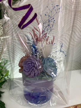 ずこうしつ〜sugamo〜に投稿された画像（2022/7/17）