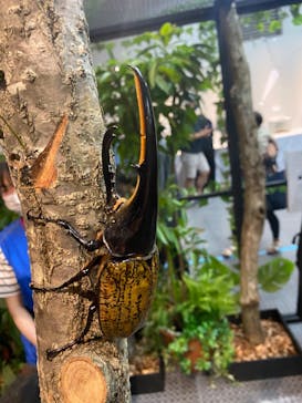 ぶっとんでるいきもの展2に投稿された画像（2022/7/17）