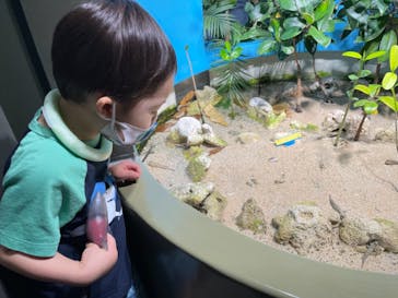 サンシャイン水族館に投稿された画像（2022/7/17）