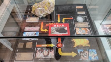 国立科学博物館に投稿された画像（2022/7/17）