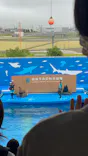 仙台うみの杜水族館に投稿された画像（2022/7/17）
